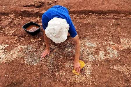 Students and volunteers have been excavating the Roman mosaic from a field near&nbsp;near Halberton, Devon.