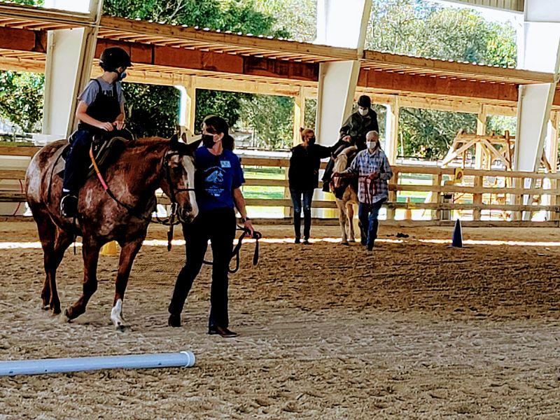Therapeutic Horsemanship Smithsonian Photo Contest Smithsonian Magazine