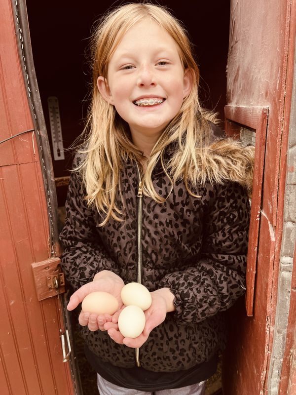 Excited about collecting farm fresh eggs. thumbnail