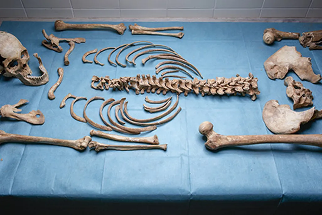 13th- to 15th-century female skeleton