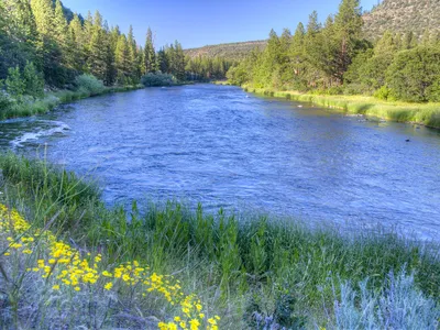 Salmon Make a Long-Awaited Return to the Klamath River for the First Time in 112 Years, After Largest Dam Removal in U.S. image