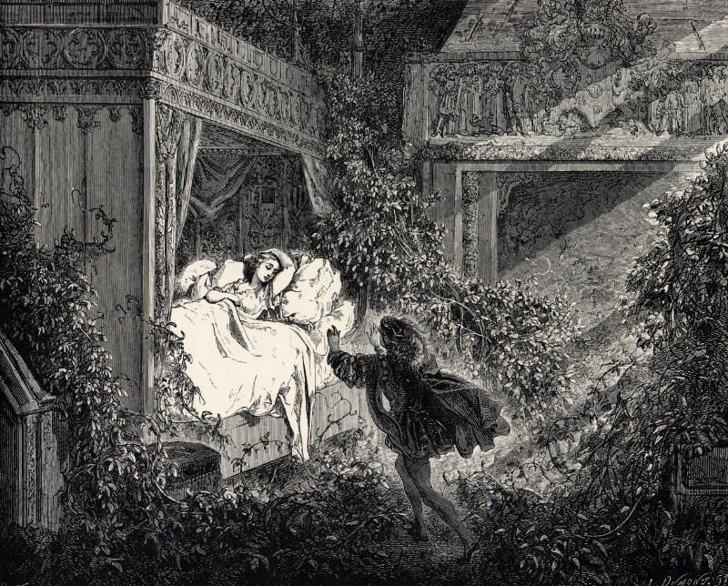 La_Belle_au_Bois_Dormant_-_Sixth_of_six_engravings_by_Gustave_Doré.jpg