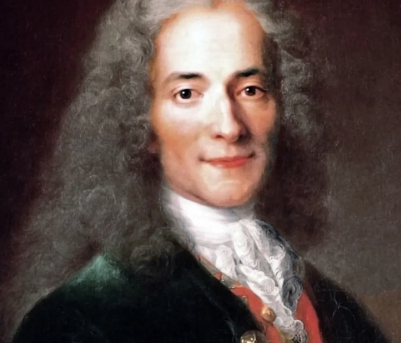 Atelier_de_Nicolas_de_Largillière,_portrait_de_Voltaire,_détail_(musée_Carnavalet)_-002.jpg