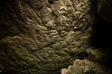 The carvings show the large antlers of adult male red deer.