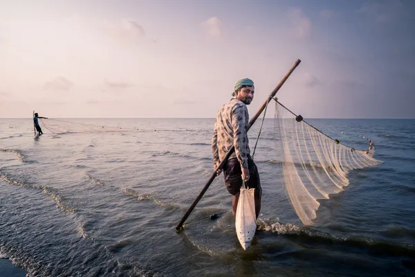 Where Nets Meet the Horizon thumbnail