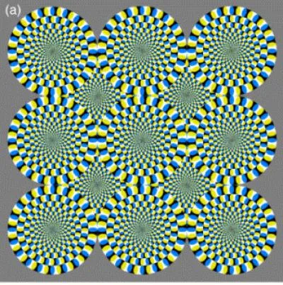 20110520104030rotatingsnakes.jpg
