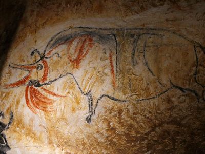 Drawing of a rhinoceros species, now extinct in Europe, in the Caverne du Pont d'Arc near Vallon, France, a replica of Chauvet Cave.