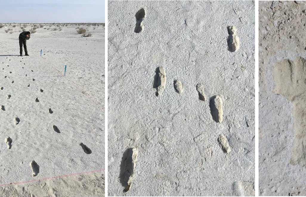 White Sands footprints
