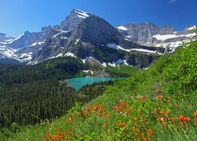 canada-rockies