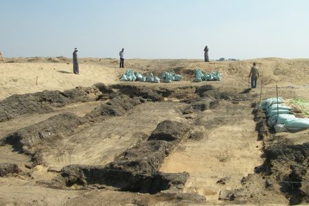 Researchers study burial sites like the Falcon Necropolis at Quesna to learn more about ancient Egyptian culture and biodiversity. The site is protected by the Egyptian Ministry of Tourism and Antiquities. (Joanne Rowland)