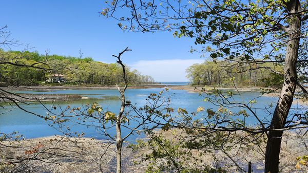 High tide in the marsh. thumbnail