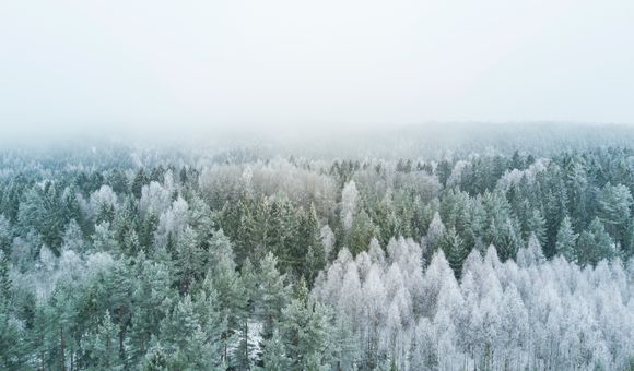 Don't forget to give to the planet this holiday season. 
