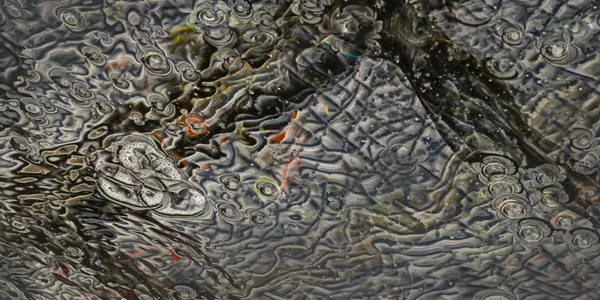 Serendipity 26 thumbnail