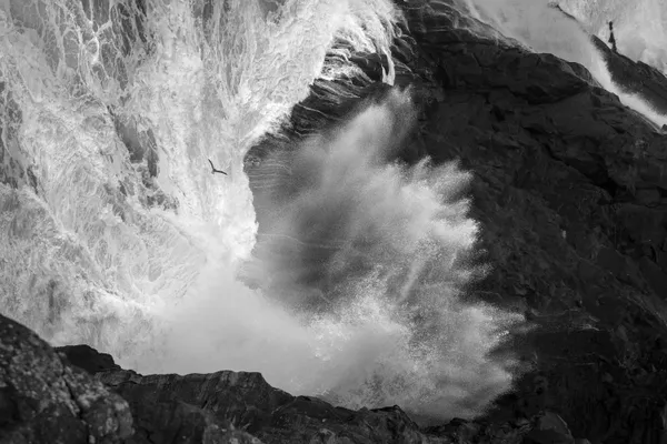 Only Passing Through thumbnail