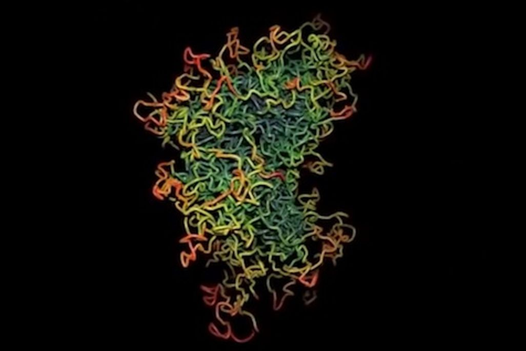 chromosome.jpg