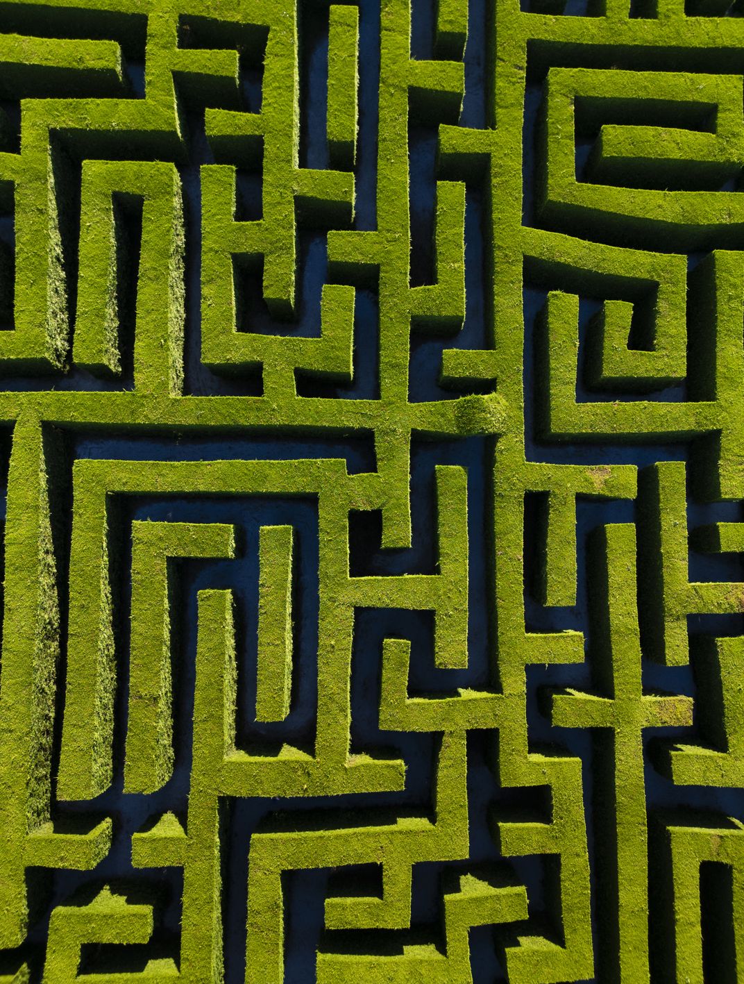 The Villapresente labyrinth | Smithsonian Photo Contest | Smithsonian ...
