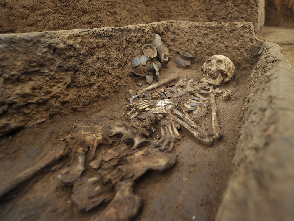 giant human remains