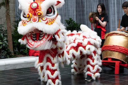 A picture of Lunar New Year festivities in a previous year. 