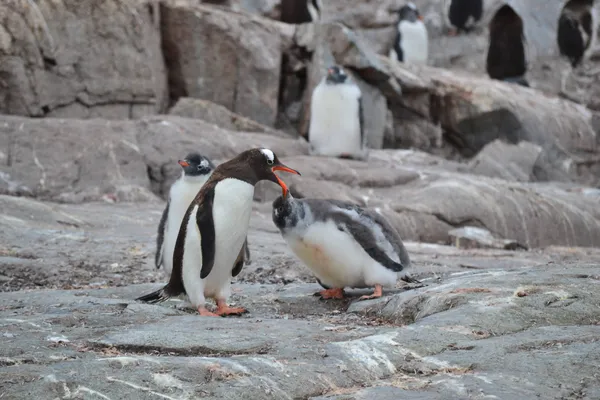 Lunch Time thumbnail