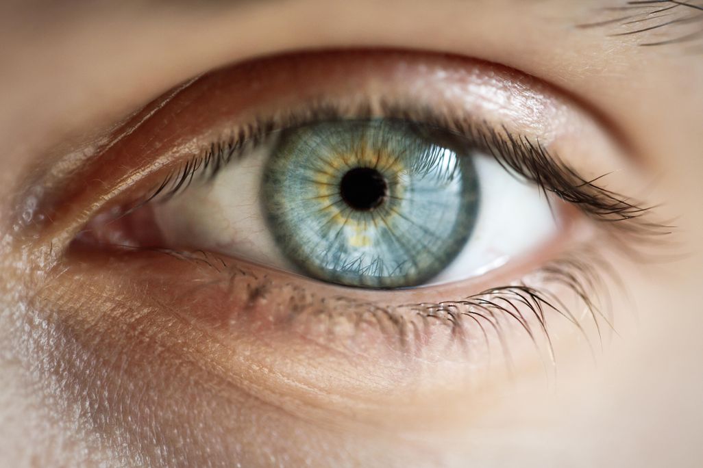 eye ball.jpg