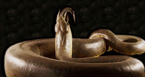 Snake Found in Grand Central Station!