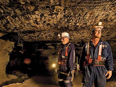 The remains of a forest of lycopsids and other oddities is 230 feet underground (John Nelson, left, and Scott Elrick inspect a mine shaft ceiling rich in fossils.)