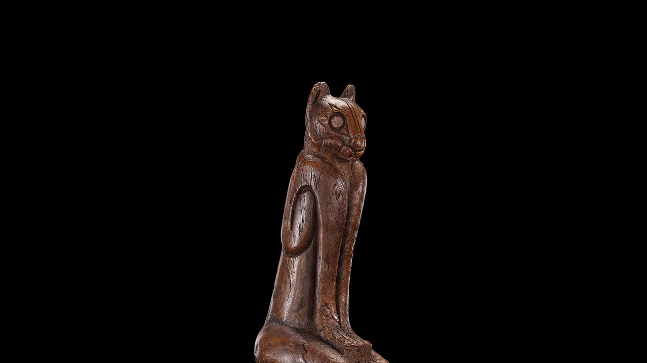 MARTE フミエタナカ フミカウチダ　エリコカトリ nmnh-2018-03434_web.jpg