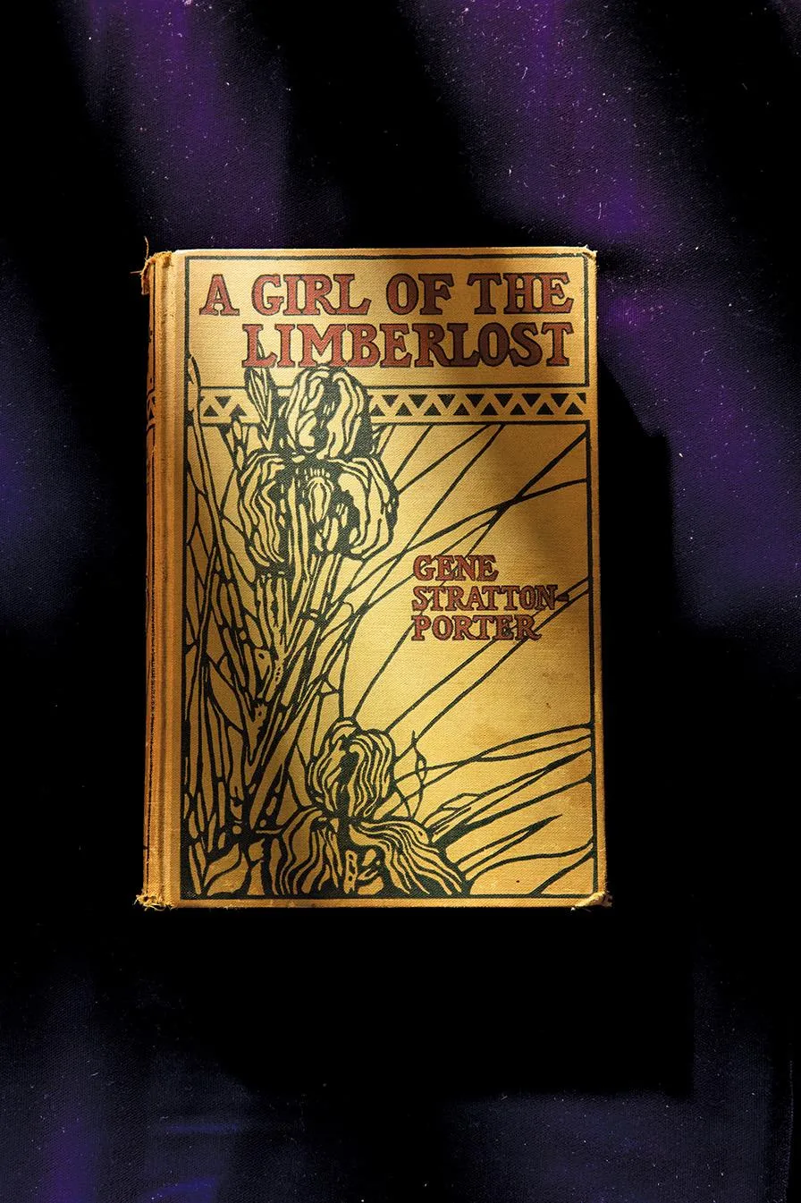 A Girl of The Limberlost