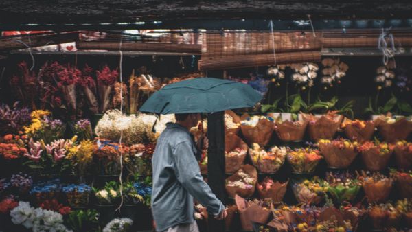 Rain & Flowers thumbnail