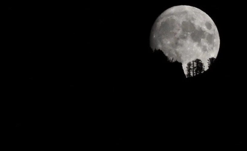 a large full moon rises with silhouettes of trees in front of it