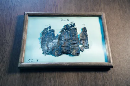 The charred papyrus scroll recovered from Herculaneum is preserved in 12 trays mounted under glass. Here is PHerc.118 in tray 8. The scroll was physically unrolled in 1883-84, causing irreparable damage.