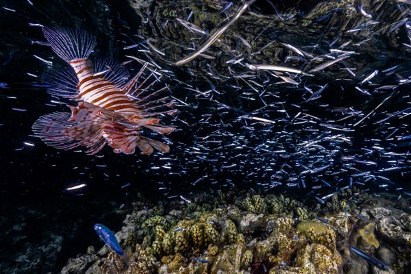 Stillness and Motion thumbnail