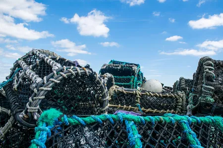 Lost fishing gear can continue to catch and ensnare prey, a destructive outcome called ghost fishing.