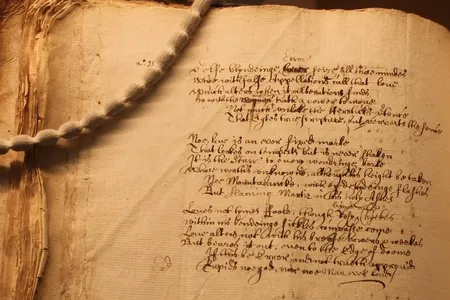 The poem was discovered by&nbsp;researcher Leah Veronese.