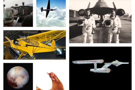 Our best stories of the year feature Starships, the fastest jets, flying dogs, and frightened hens. 