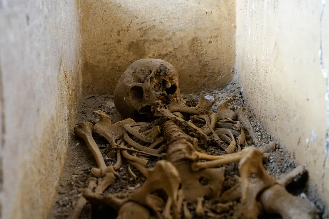 Skeleton