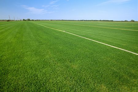 Water extracted from beneath California’s San Joaquin Valley keeps farm fields green. But it may also be affecting earthquakes in the region.