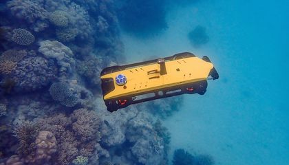 Could Underwater Autonomous Robots Save Coral Reefs?