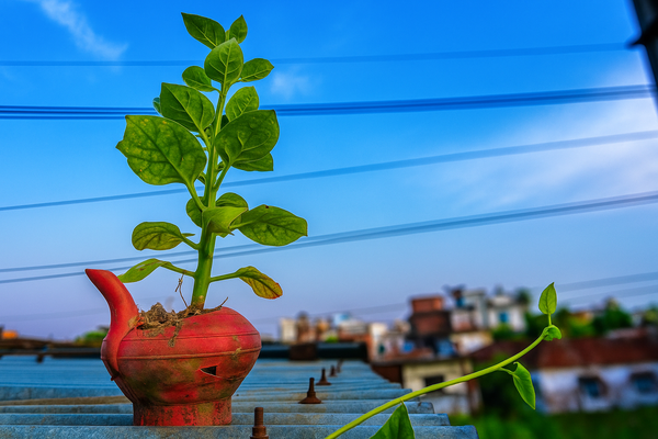 Nothing Is Useless thumbnail