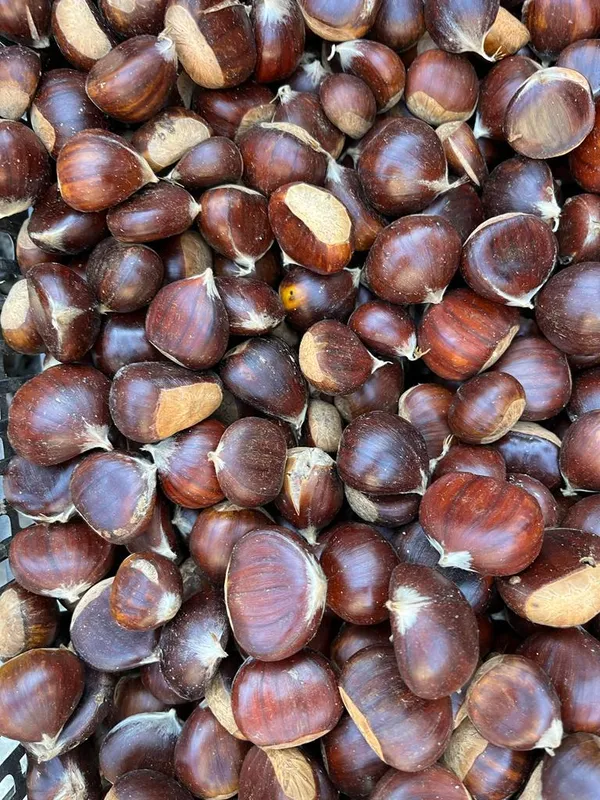 Abundance of chestnuts thumbnail