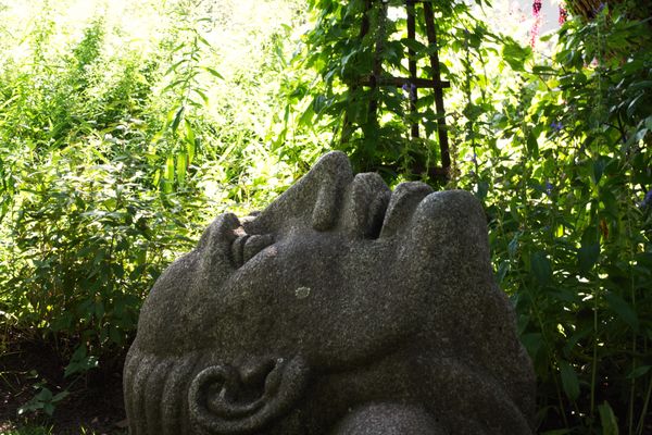 Drowning Man in a Botanical Garden thumbnail