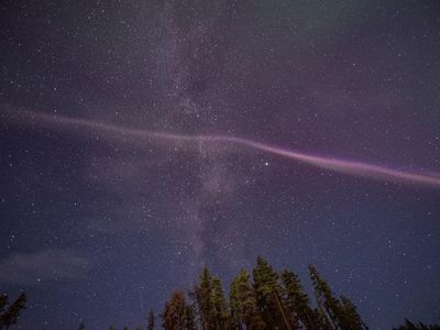 "Steve" the aurora was discovered by amateur skywatchers, who are helping scientists learn more about this atmospheric phenomenon.