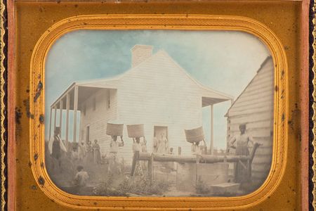 An unknown photographer took this image of enslaved individuals on a cotton plantation around 1850. 