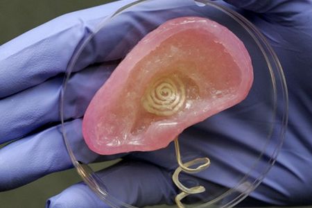 One bionic ear, fresh off the printer.