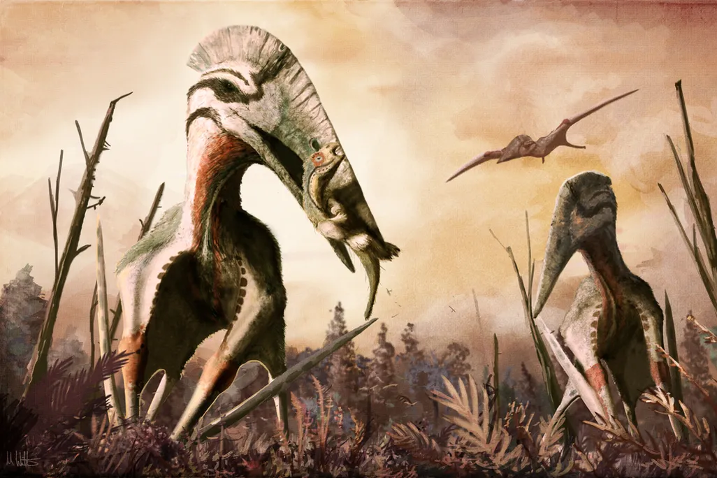 Hatzegopteryx.png
