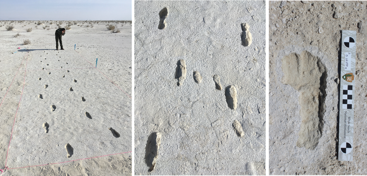 洋書 Big Footprints by Krantz Big foot-prints : a scientific inquiry into the reality of