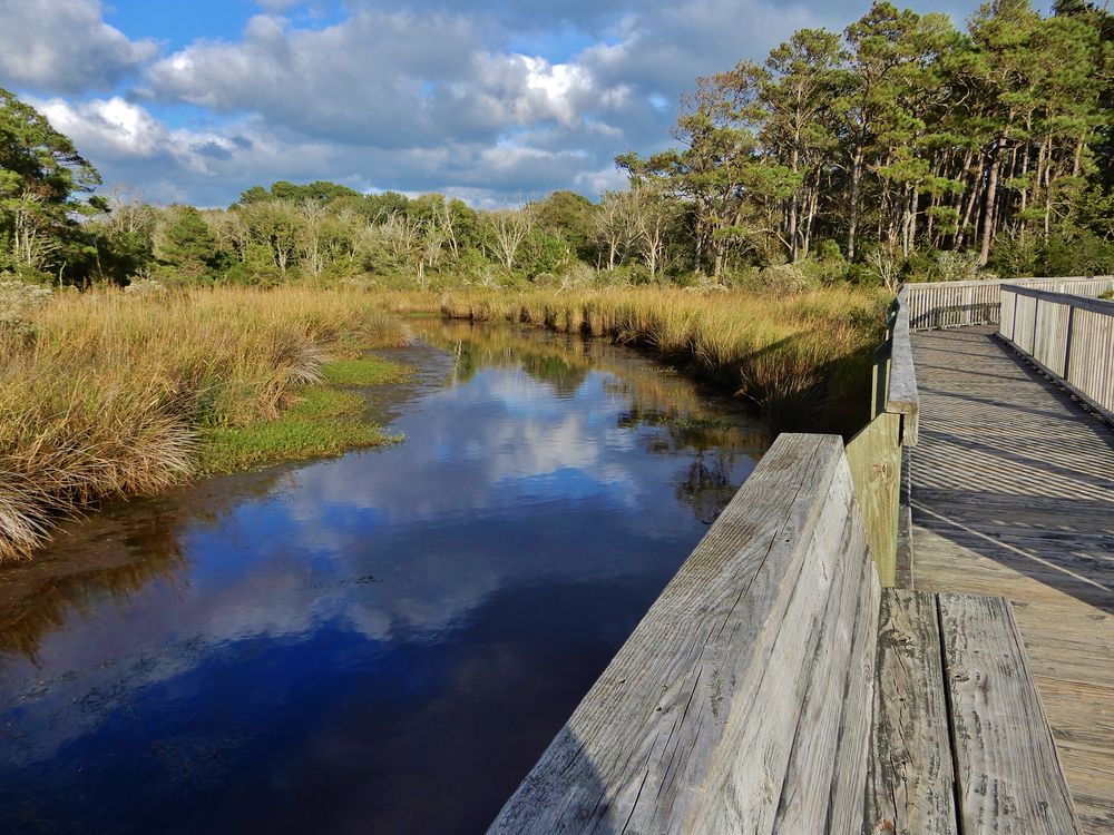 A clear blue river winds through a reedy wetland, reflecting the clouds overhead. A wooden boardwalk with rails overlooks the river on the right.