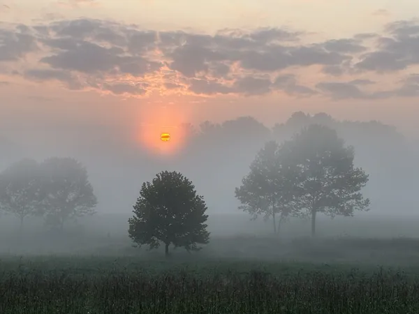 Foggy Day in Virginia thumbnail