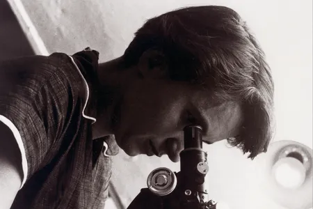 Rosalind Franklin&#39;s work was vital to the discovery of the structure of DNA, but her role went largely&nbsp;unrecognized at the time.&nbsp;