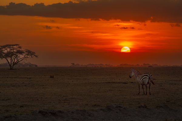 An African sunset: thumbnail